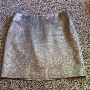 Silvery skirt